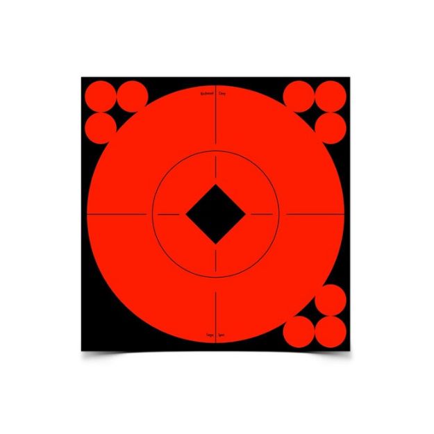 Picture of B/C TARGET SPOTS 10-6"