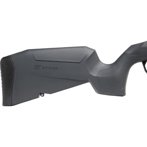 Picture of Axis 2 22-250 Bl/Gry 22"