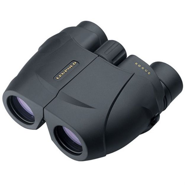 Picture of Leupold Binocular Bx-1 Rogue 10X25mm Compact Porro Black