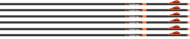 Picture of Easton Arrow 6.5Mm Bowhunter 300 W/2" Bully Vanes 6-Pack