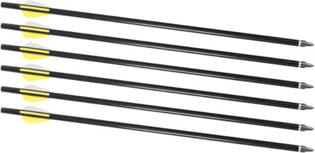 Picture of Traditions Arrows 16" 6-Pack For Xbr Arrow Launcher