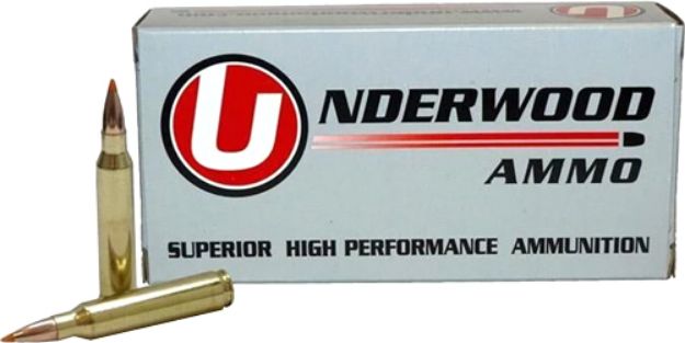 Picture of Underwood 458 Hammmer 300Gr Ballistic Tip 20Rd 10Bx/Cs