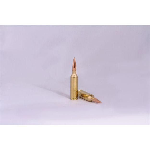 Picture of Hsm Trophy Gold 6.5 Prc 140Gr Berger Vld 20Rd 25Bx/Cs