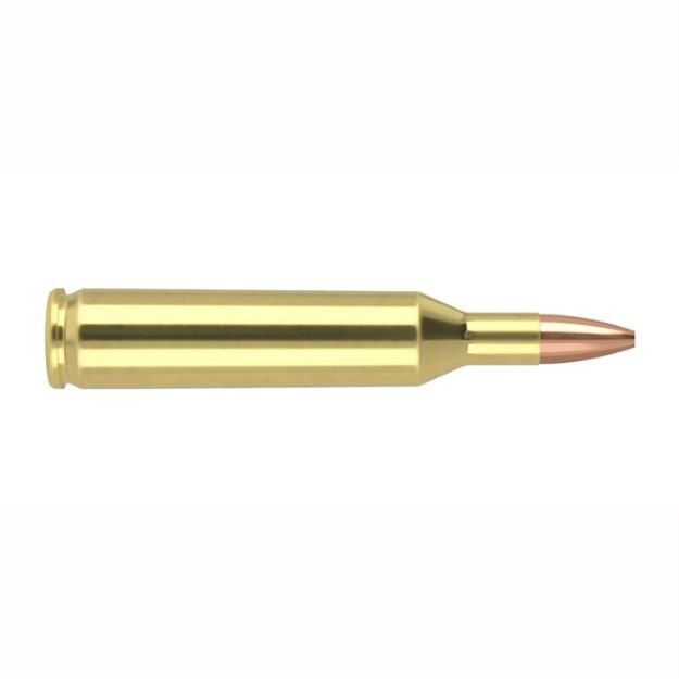Picture of Nosler Varmageddon 17 Rem 20Gr Hpfb 20Rd 20Bx/Cs