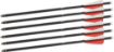 Picture of Bear-X Truex Max Crossbow Bolts 6Pk