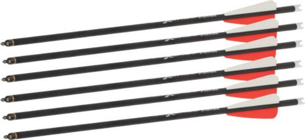 Picture of Bear-X Truex Max Crossbow Bolts 6Pk