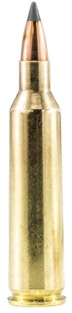 Picture of Sig Ammo 223 Rem 40Gr Predator 20Rd 10Bx/Cs<