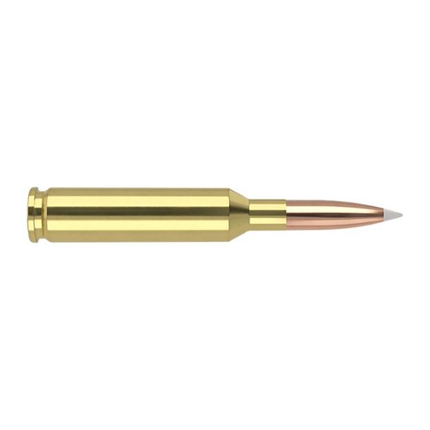 Picture of Nosler Trophy Grade 6Mm Cm 90Gr Accubond Tip 20Rd 10Bx/Cs