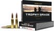 Picture of Nosler Trophy Grade 260 Rem 130Gr Accubond 20Rd 10Bx/Cs