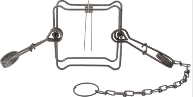 Picture of Duke Traps #160 Body Trap Case Of 12