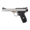 Picture of S&W Sw22 Victory Target 5.5" Adj. 10-Shot Stainless Polymer
