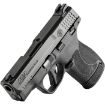 Picture of S&W M&P9 Shield Plus 9Mm Ts 13/10 Rd Mags  3.1" Black