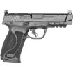 Picture of S&W M&P 10Mm M2.0 4.6" Fs 15-Shot Armornite Finish Poly