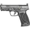 Picture of S&W M&P 10Mm M2.0 4" Fs 15-Shot Armornite Finish Poly