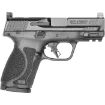 Picture of S&W M&P9 M2.0 Compact 9Mm 3.6" 15-Sh Optics Ready No Sfty Blk
