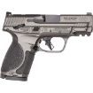 Picture of S&W M&P9 M2.0 Metal Compact 3.6" 9Mm 10-Rd Safety Grey