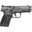 Picture of S&W M&P9 Pc M2.0 Compact Comp 4.22" 10-Rd Optics Rdy Safety