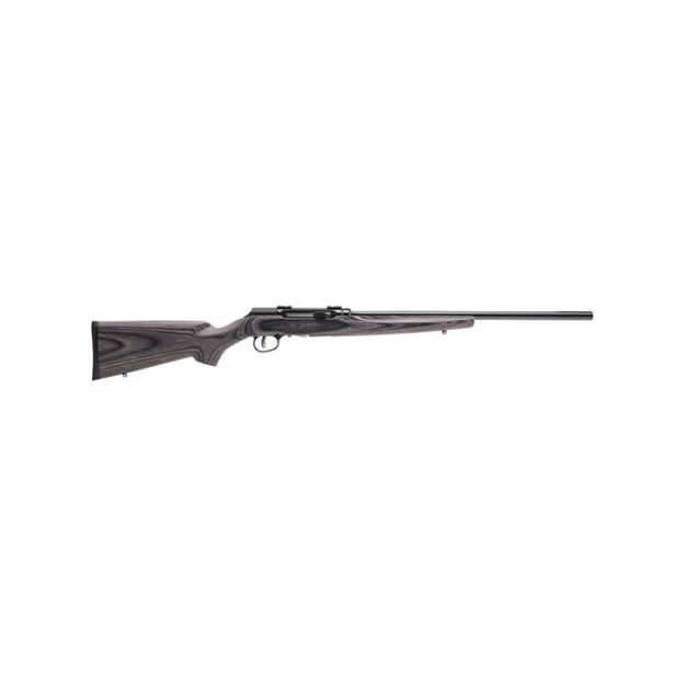 Picture of Savage A17 17Hmr Hvy Bbl 22" Accu Tgr Blu/Gry Lam Sporter
