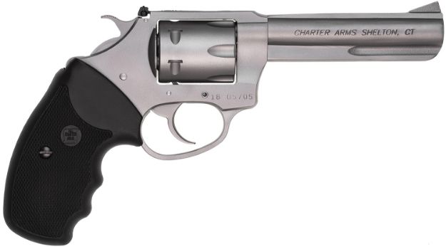 Picture of Charter Arms Pathfinder 22Wmr 4.2" S/S Adj