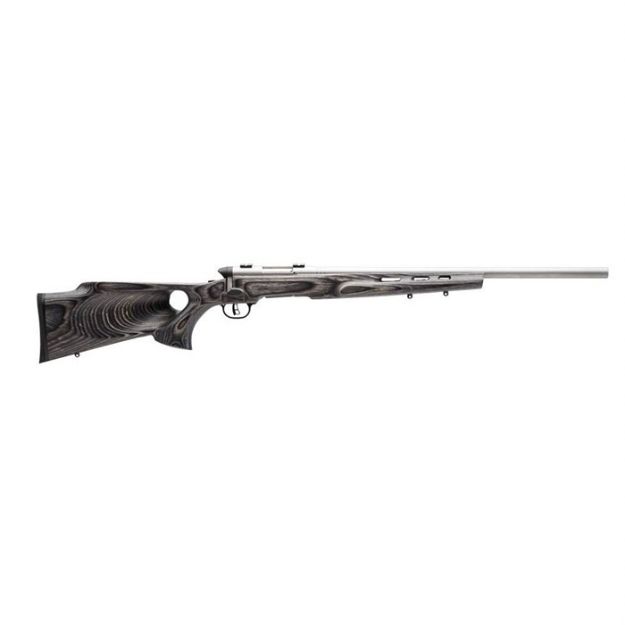 Picture of Savage Bmag Target 17Wsm 22" Hb Ss/Grey Laminate T-Hole