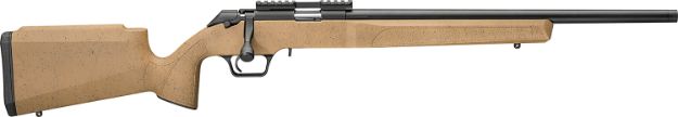 Picture of Springfield 2020 Rimfire 22Lr 20" 10Rnd Coyote Brn/Blk Web
