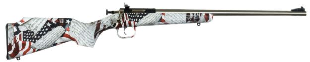 Picture of Crickett Rifle G2 22Lr Amendment Stainless