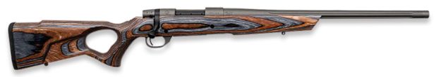 Picture of Weatherby Vanguard Spike Camp 223 Rem 20" T-Hole Laminate<