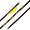 Picture of Gold Tip Arrow Hunter Pro 340 2" Raptor Vanes 1/2Doz