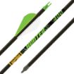 Picture of Gold Tip Arrow Hunter Xt 400 2" Raptor Vanes 1/2Doz
