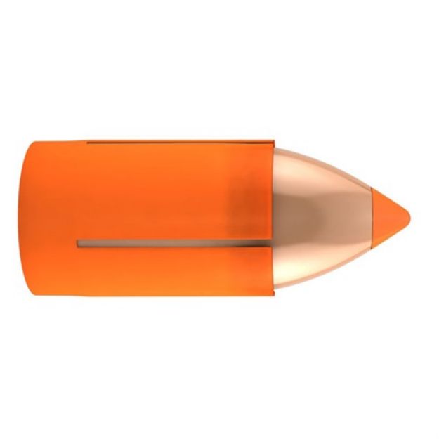 Picture of Nosler Bullets Mz 50 Cal 300Gr Ballistic Tip 15Ct