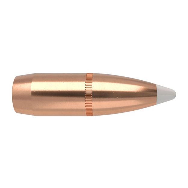 Picture of Nosler Bullets 375 Cal .375 260Gr Accubond 50Ct