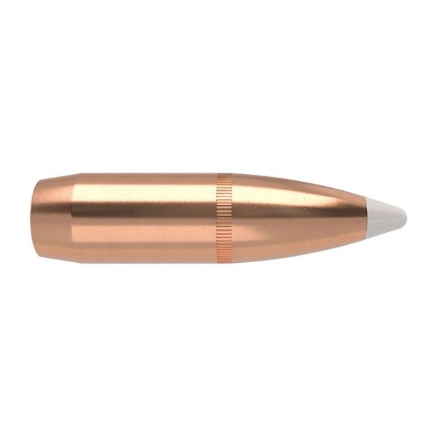 Picture of Nosler Bullets 375 Cal .375 300Gr Accubond 50Ct