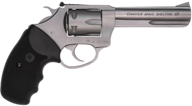 Picture of Charter Pathfinder 22Lr Ss 4"#