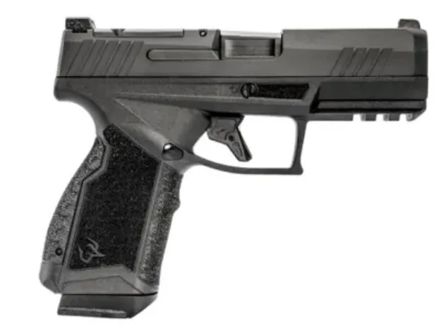 Picture of Gx4 Carry 380 Acp 3.7" Blk (2) 15-Rd