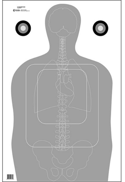 Picture of Action Target Qualification Silhouette/Vitals Paper 23" X 35" Gray/White 100 Per Box 